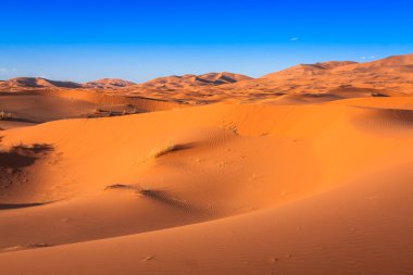 Dune yakınındaki Merzouga Fas Erg African adlı çöl.
