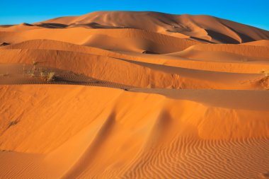 Sahra Çölü 'ndeki kum tepeleri, Merzouga, Fas