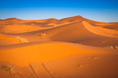 Dune yakınındaki Merzouga Fas Erg African adlı çöl.