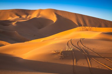 Dune yakınındaki Merzouga Fas Erg African adlı çöl.