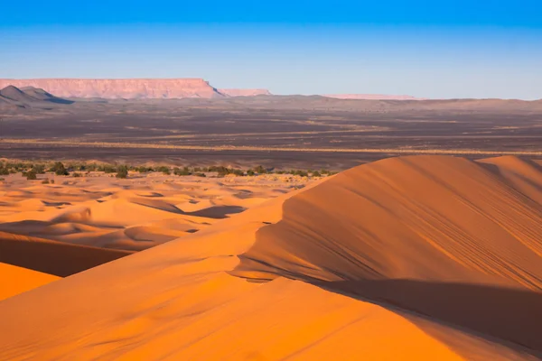 モロッコのメルズーガ近く Erg Chebbi に砂漠砂丘. — ストック写真