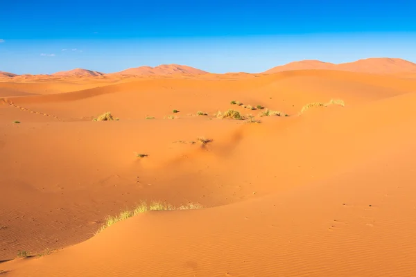 Duna del desierto en Erg Chebbi cerca de Merzouga en Marruecos . — Foto de Stock