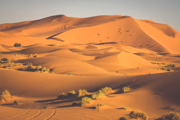 Woestijn Duin op Erg Chebbi in de buurt van Merzouga in Marokko. — Stockfoto