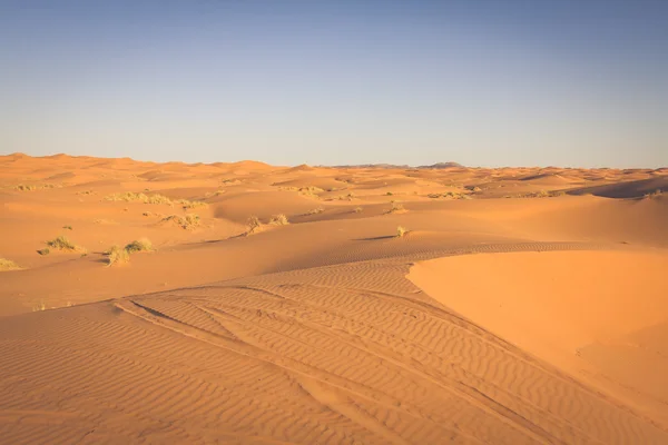 Στους αμμόλοφους της ερήμου στο Erg Chebbi κοντά Merzouga στο Μαρόκο. — Φωτογραφία Αρχείου