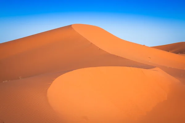 Desert dune at Erg Chebbi near Merzouga in Morocco. — Stock Photo, Image