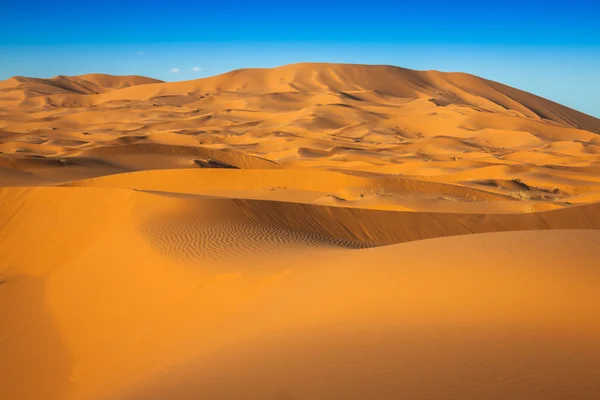 Öknen dyn på Erg Chebbi nära Merzouga i Marocko. — Stockfoto