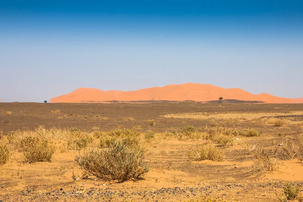 モロッコのメルズーガ近く Erg Chebbi に砂漠砂丘. — ストック写真