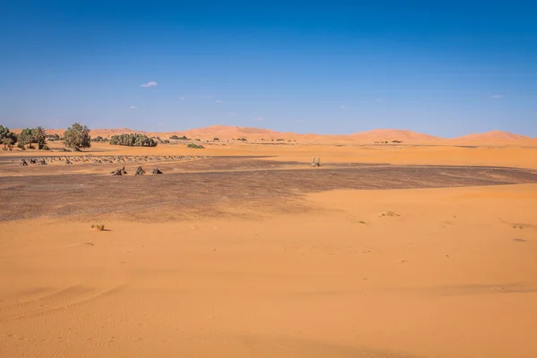 Sand dunes in the Sahara Desert, Merzouga, Morocco — Stock Photo, Image