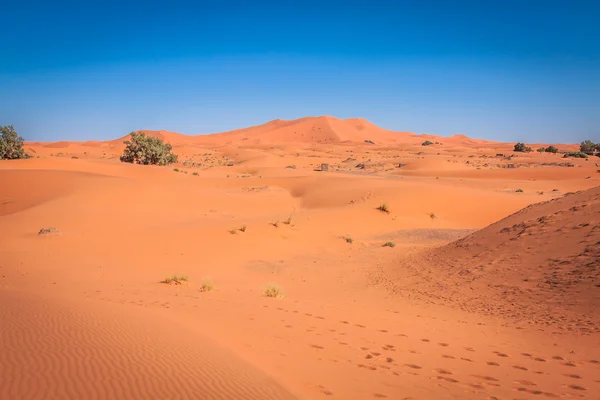Písečné duny v poušti Sahara, Merzouga, Maroko — Stock fotografie