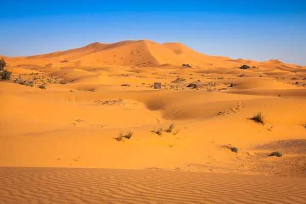 Zandduinen in de Sahara woestijn, Merzouga, Marokko — Stockfoto