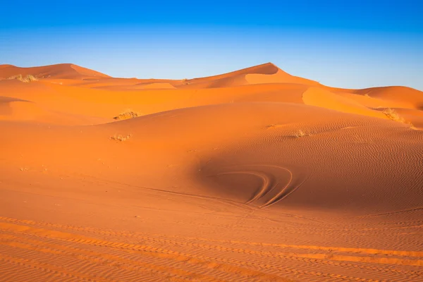 Homokdűnék a Szahara sivatagban, Merzouga, Marokkó — Stock Fotó