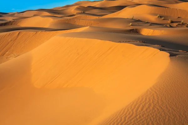 Dunas de arena en el desierto del Sahara, Merzouga, Marruecos — Foto de Stock