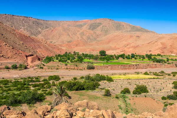 Pueblo en Ouarzazate, Marruecos, África — Foto de Stock