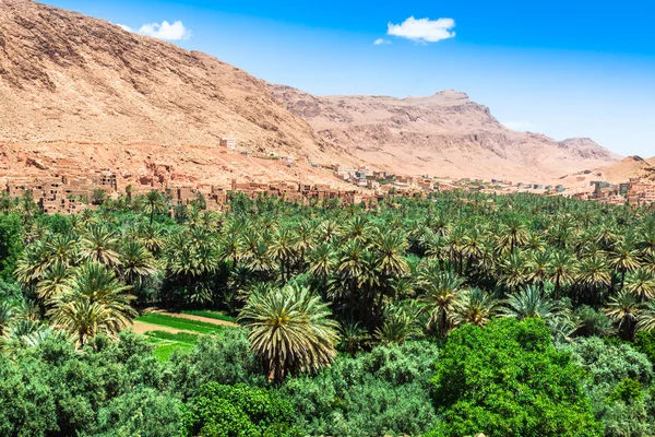 Pueblo de Tinerhir cerca de Georges Todra en Marruecos — Foto de Stock