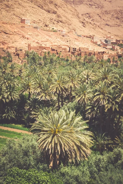 Villaggio di Tinerhir vicino Georges Todra in Marocco — Foto Stock