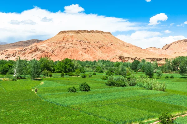 アフリカのモロッコ Dades Gorgem に赤い岩石灰岩の指 — ストック写真