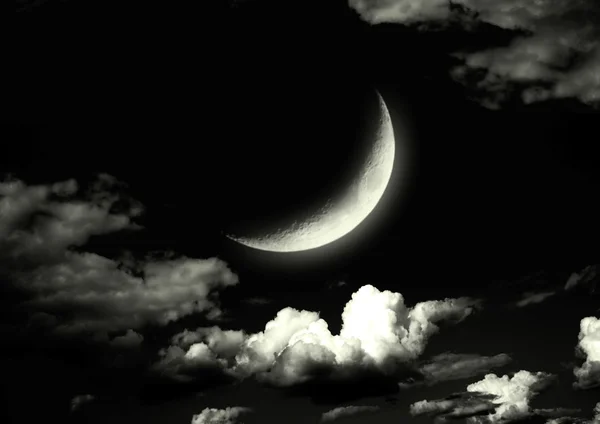 The moon in the night sky