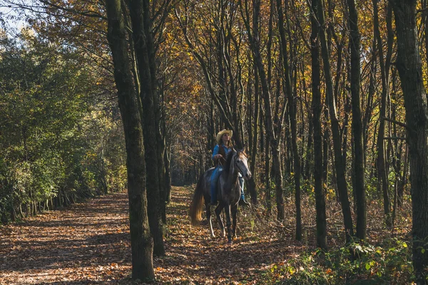 Pretty girl riding her grey horse — Stock Photo, Image