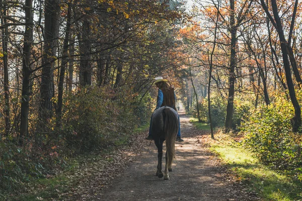 Menina bonita montando seu cavalo cinza — Fotografia de Stock