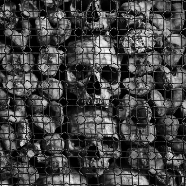古代の人間の頭蓋骨と骨 — ストック写真