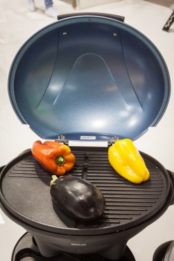 ızgara göstermek vasıl homi, uluslararası gösteride ev: milan, İtalya