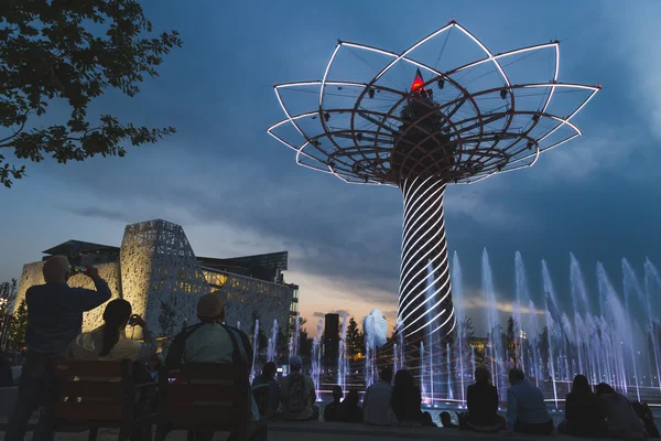 L'arbre de vie en soirée à l'Expo 2015 à Milan, Italie — Photo