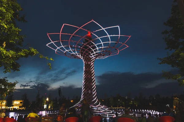 Hayat ağacı de akşam Expo 2015, Milano, İtalya — Stok fotoğraf