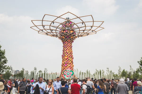 Boom van het leven op Expo 2015 in Milaan, Italië — Stockfoto