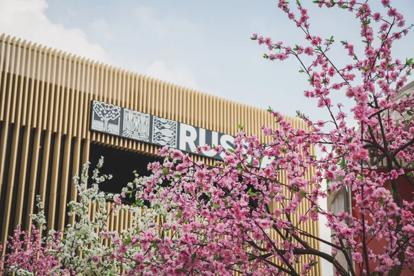 Fleurs de pêcher devant le pavillon de la Russie à l'Expo 2015 à Milan — Photo