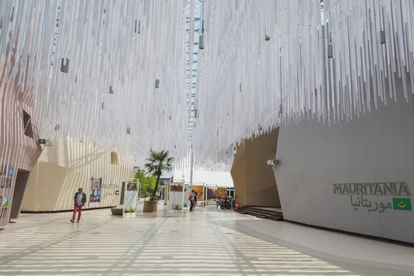 Dentro do Arid Zonas Cluster na Expo 2015 em Milão, Itália — Fotografia de Stock