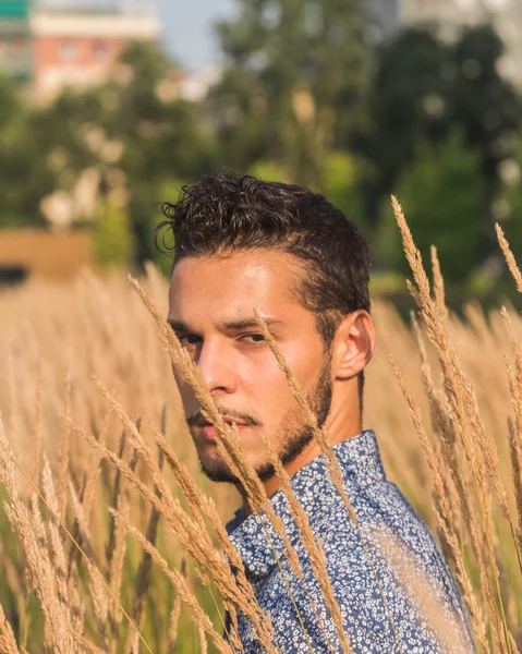 Jovem bonito homem posando em um campo — Fotografia de Stock