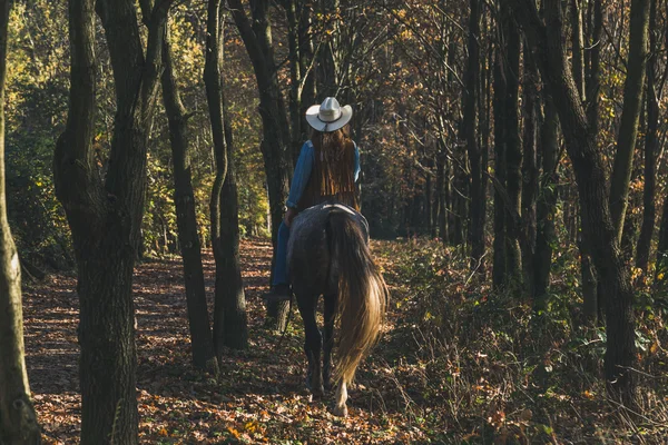 Όμορφο κορίτσι οδήγηση του αλόγου της γκρι — Φωτογραφία Αρχείου