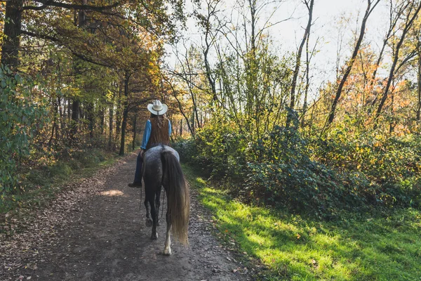 Pretty girl riding her grey horse — Stock Photo, Image