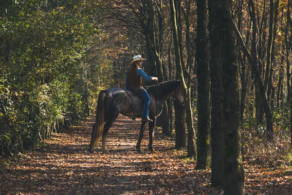 Söt flicka Rider hennes grå häst — Stockfoto