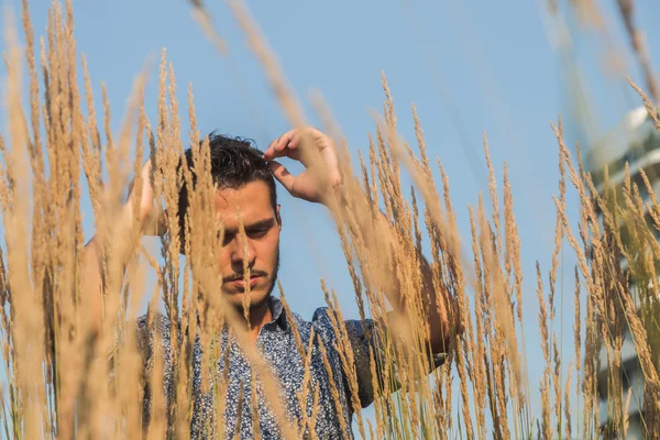 Young handsome man posing in a field — Stock Photo, Image