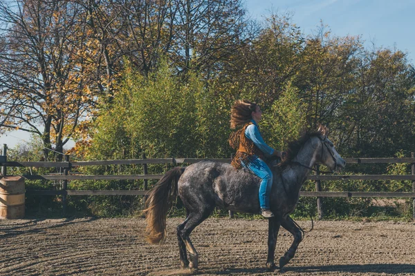 Chica bonita montando su caballo gris —  Fotos de Stock