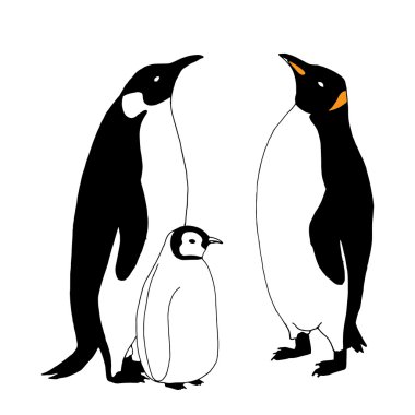 Penguen aile illüstrasyon