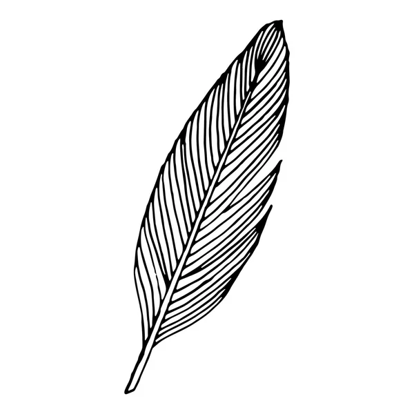 Escribir pluma — Vector de stock