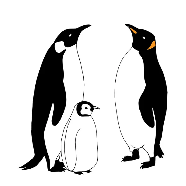 Illustration zur Pinguin-Familie — Stockvektor