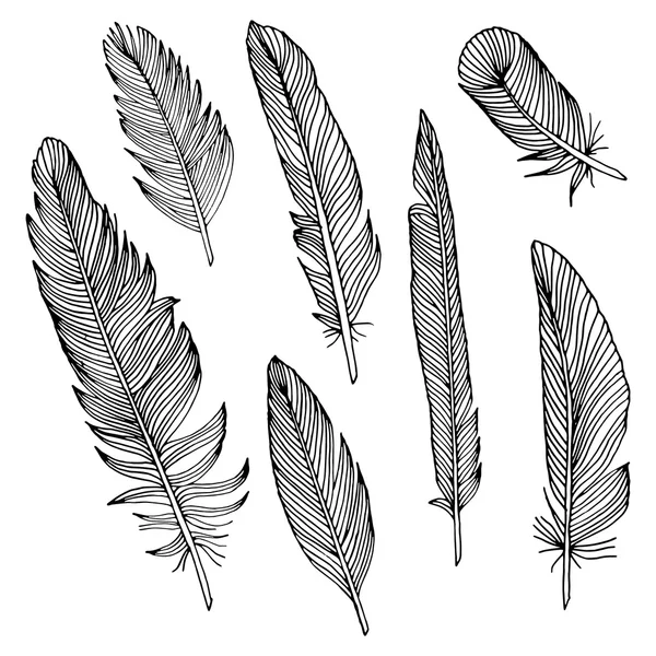 Escribir variaciones de plumas — Archivo Imágenes Vectoriales