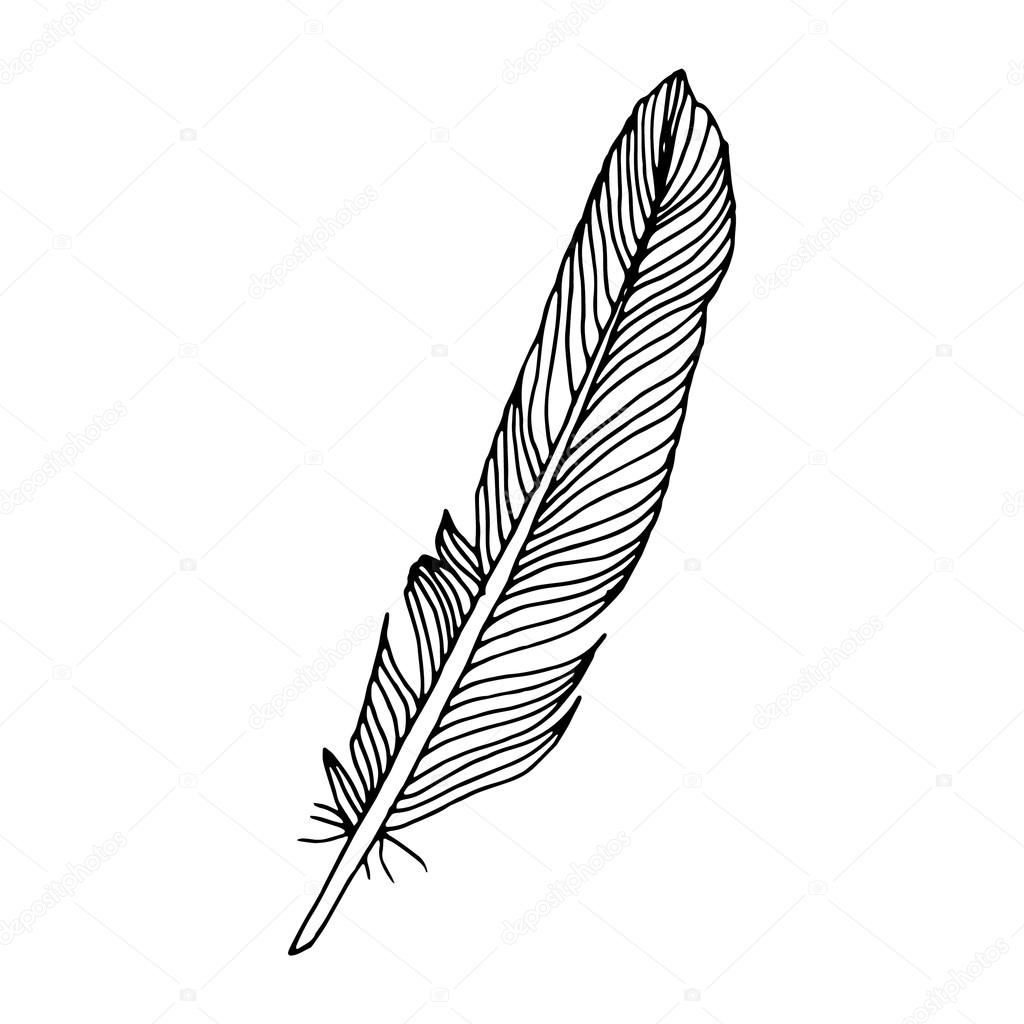 Download Writing feather on simple white background — Stock Vector ...