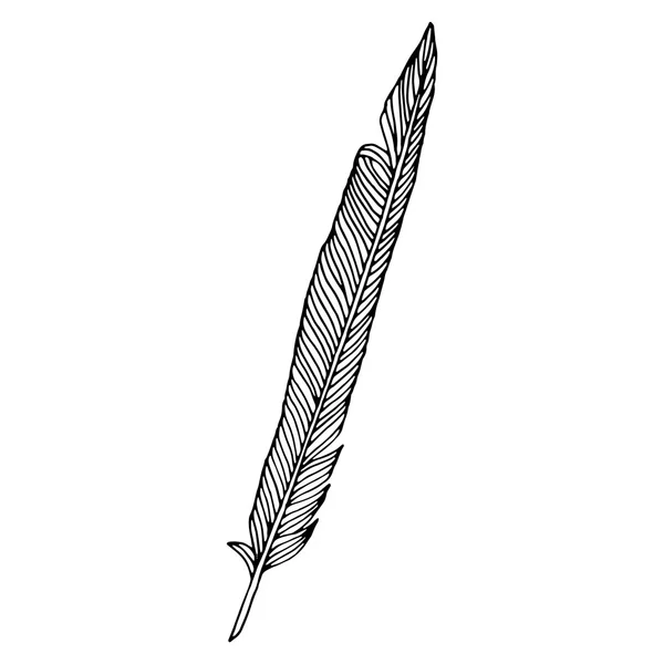 Escribir pluma — Vector de stock