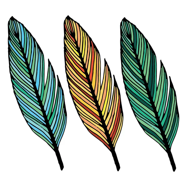 生动的写作羽毛 — 图库矢量图片