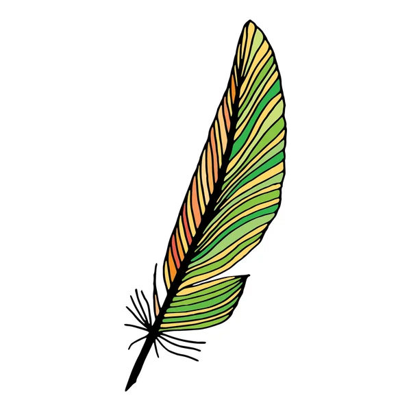 Ilustración de plumas verde - naranja - amarillo Vectores de stock libres de derechos