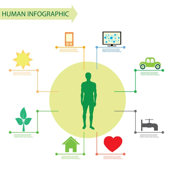 Menschliche infografische Illustration — Stockvektor