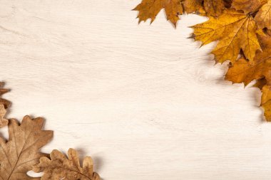 Sonbahar meşesi yaprakları ve akçaağaç yaprakları ahşap bir zemin üzerinde bir çerçeve şeklinde
