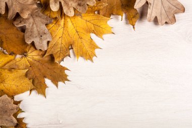 Sonbahar meşesi yaprakları ve akçaağaç yaprakları ahşap bir arka planda