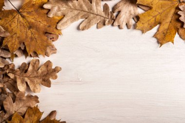 Sonbahar meşesi yaprakları ve akçaağaç yaprakları ahşap bir arka planda