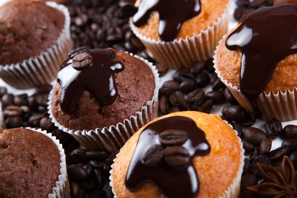 Ciasto czekoladowe z ziarnem kawy — Zdjęcie stockowe