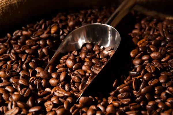 Granos de café tostados con cucharada —  Fotos de Stock